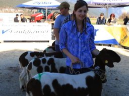 2019_ausstellung polling_728